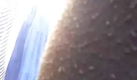 AVI نوجوان, سگ ماده سایت عکس سوپرخارجی